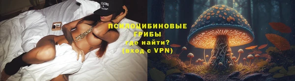 ешки Новодвинск