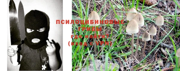 ешки Новодвинск