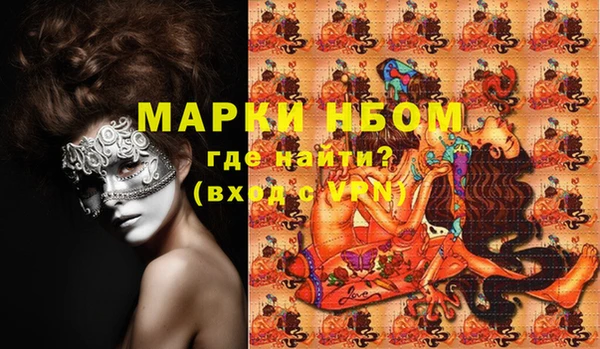 индика Апатиты