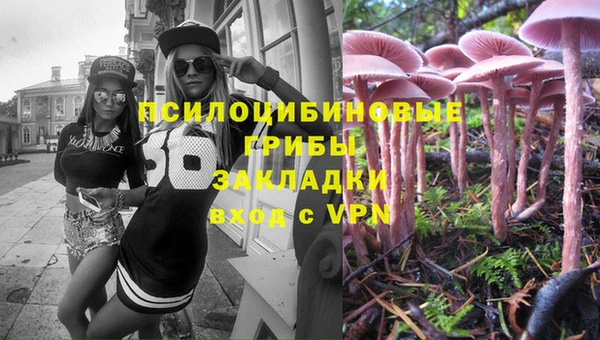 ешки Новодвинск