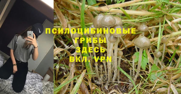каннабис Новокубанск