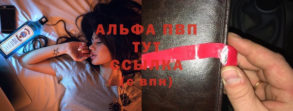 ешки Новодвинск