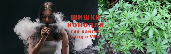 ешки Новодвинск