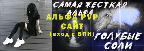 индика Апатиты